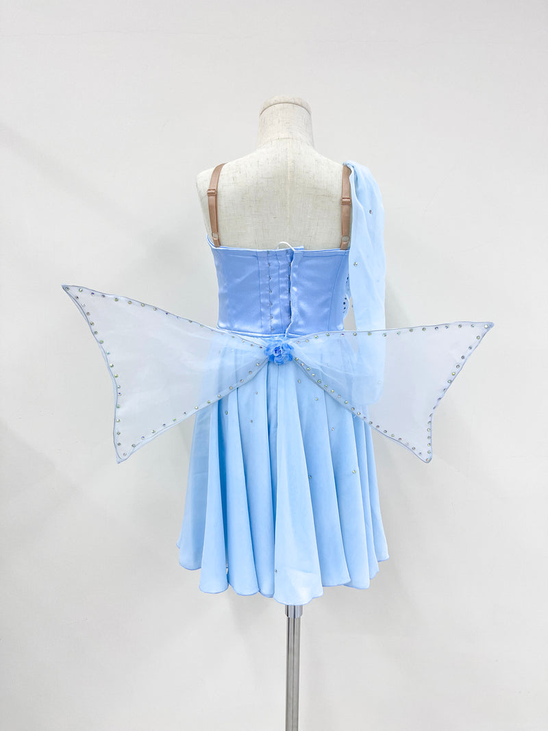 Ice Blue Butterfly Lyrical Dress