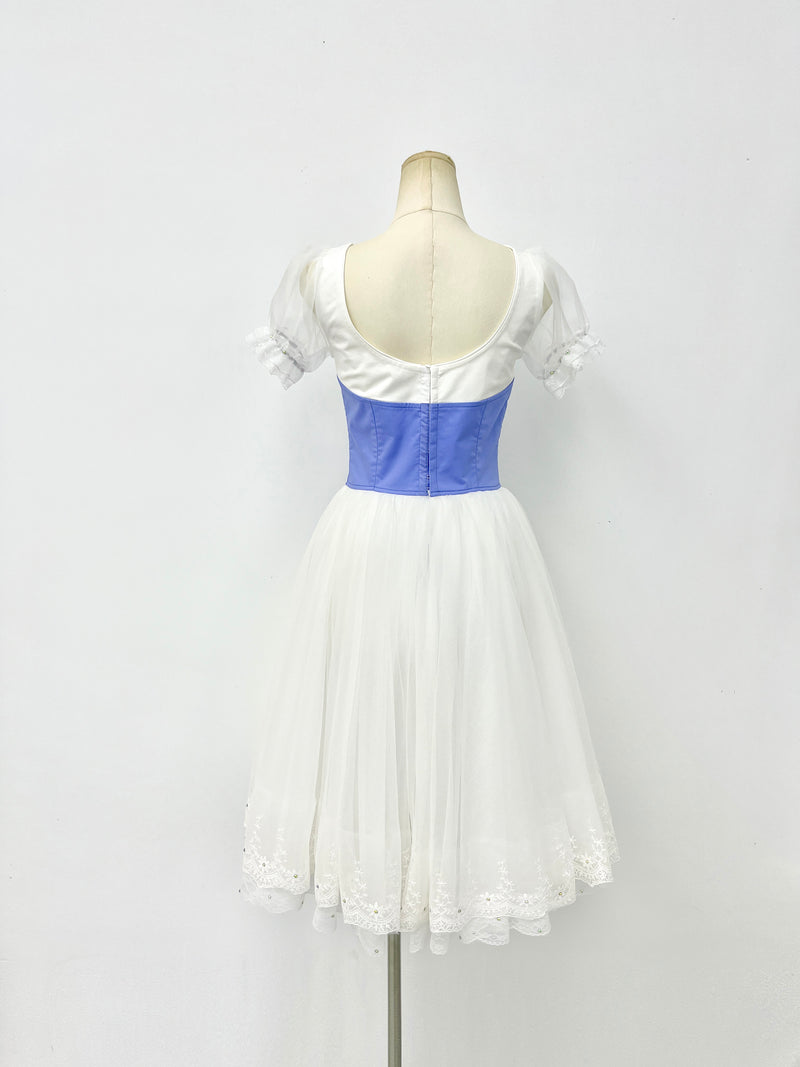 Royal Blue Village Peasant Ballet Dress