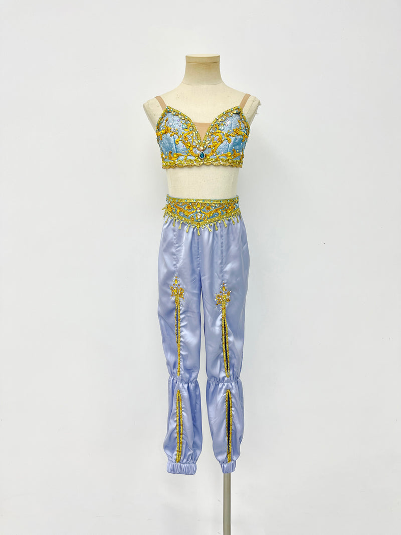 Lavender Gold Arabian Two-Piece Costume
