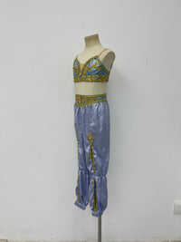 Lavender Gold Arabian Two-Piece Costume