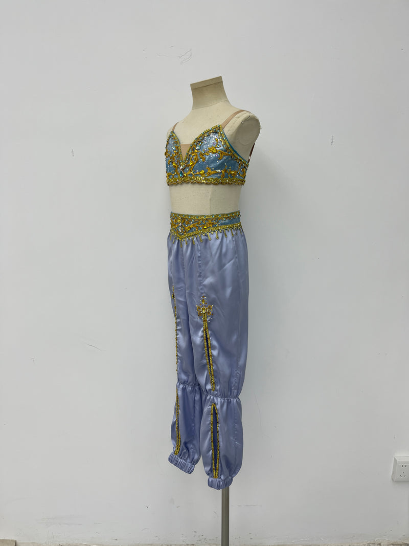 Lavender Gold Arabian Two-Piece Costume