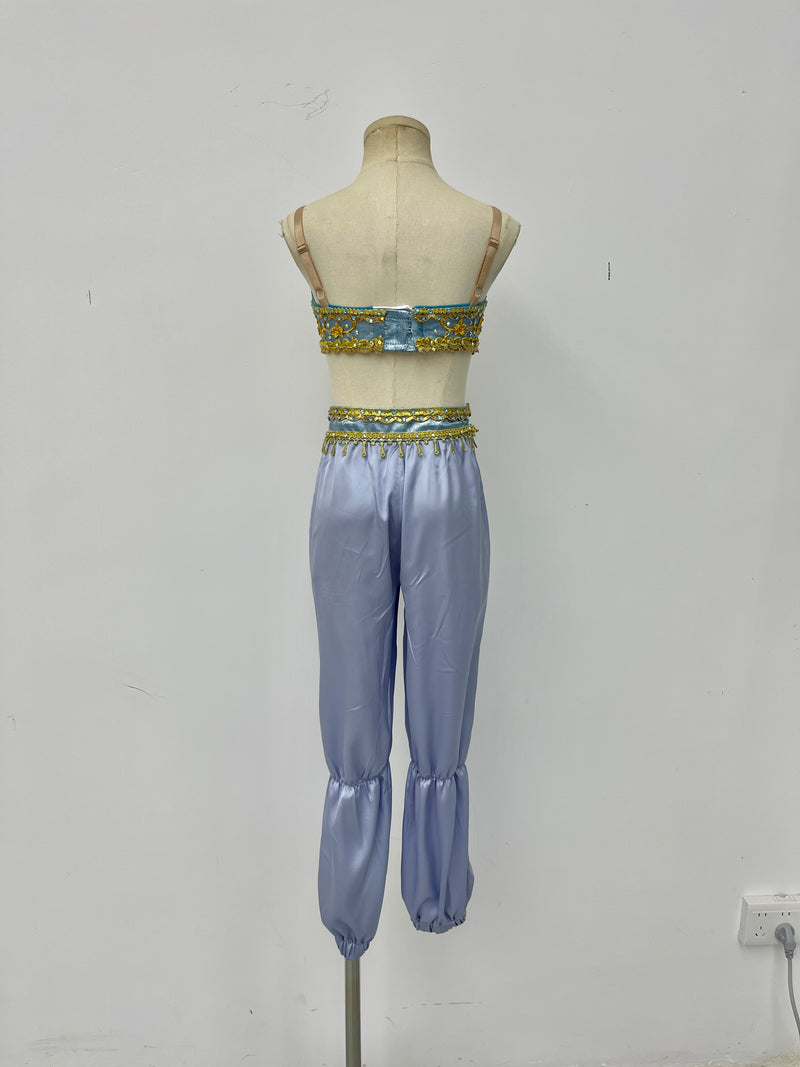 Lavender Gold Arabian Two-Piece Costume