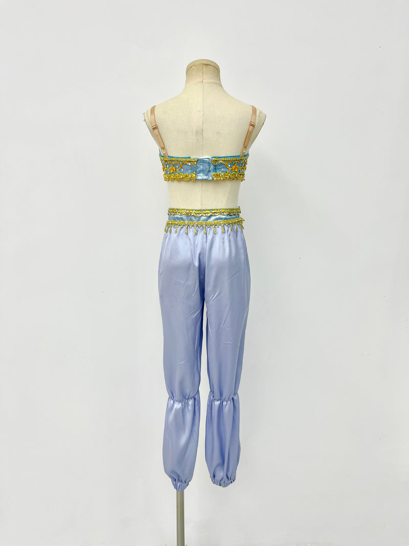 Lavender Gold Arabian Two-Piece Costume