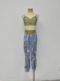 Lavender Gold Arabian Two-Piece Costume