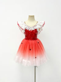 Ruby Ombre Sequin Ballet Dress