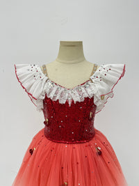 Ruby Ombre Sequin Ballet Dress