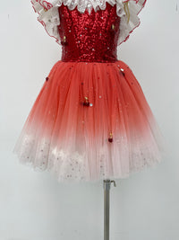Ruby Ombre Sequin Ballet Dress