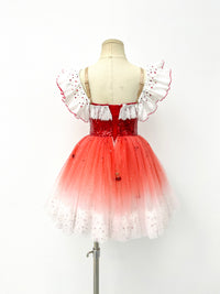 Ruby Ombre Sequin Ballet Dress