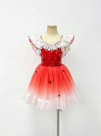 Ruby Ombre Sequin Ballet Dress