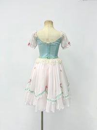 Mint Blush Peasant Ballet Dress