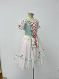 Mint Blush Peasant Ballet Dress