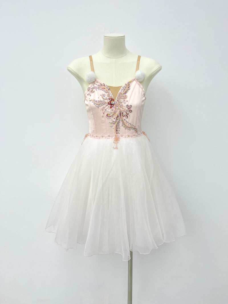 Blush Pearl Romantic Ballet Dress
