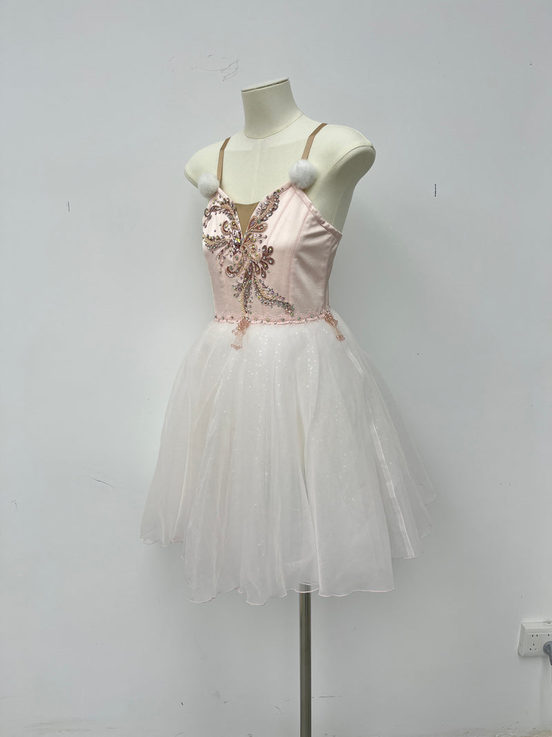 Blush Pearl Romantic Ballet Dress