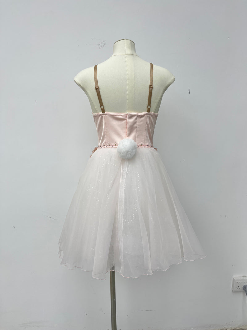 Blush Pearl Romantic Ballet Dress
