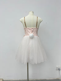 Blush Pearl Romantic Ballet Dress