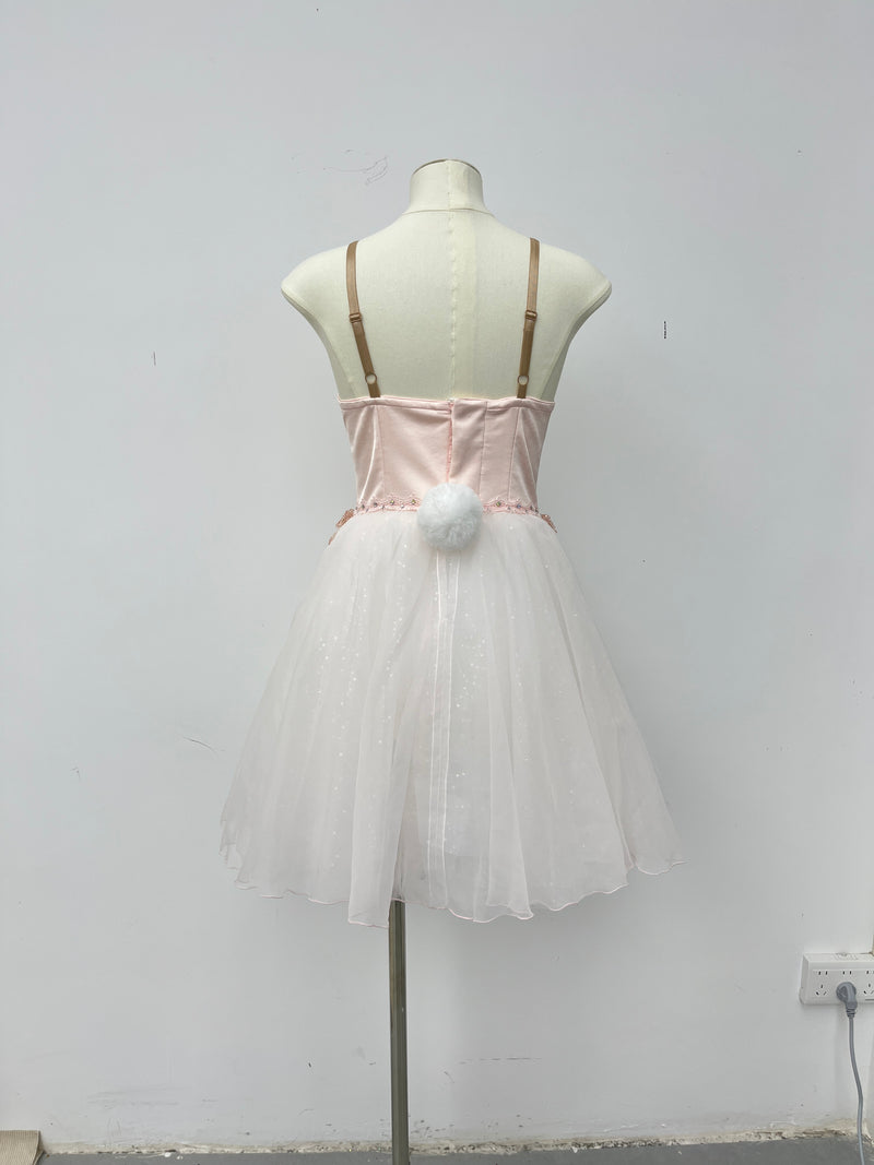 Blush Pearl Romantic Ballet Dress