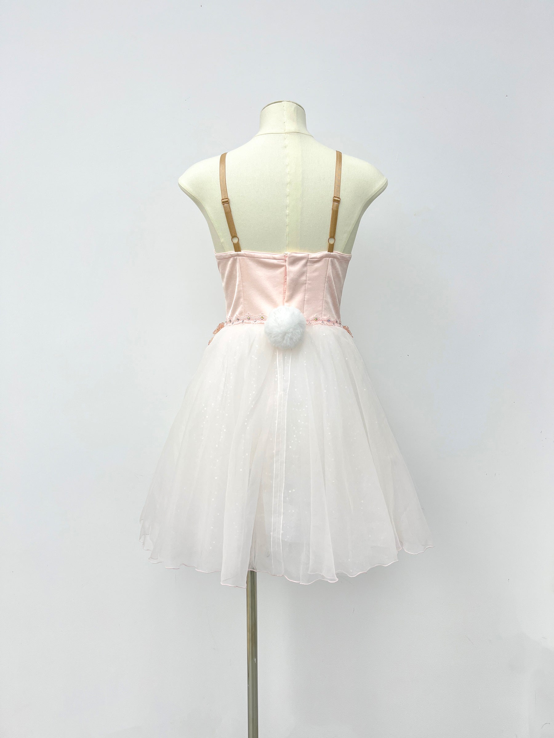 Blush Pearl Romantic Ballet Dress