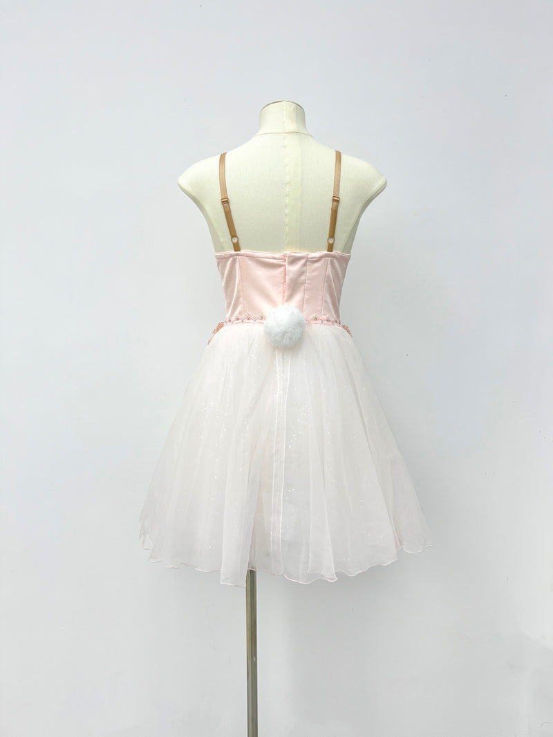 Blush Pearl Romantic Ballet Dress