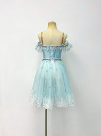 Frost Blue Feather Romantic Ballet Dress