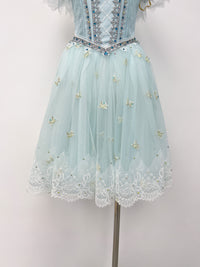 Frost Blue Feather Romantic Ballet Dress