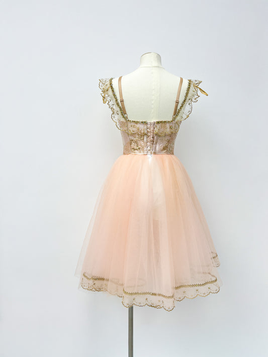 Champagne Rose Peasant Ballet Dress