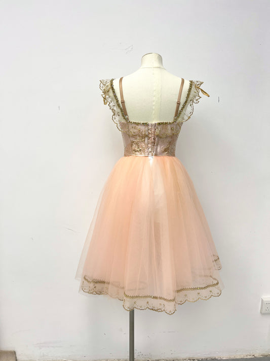 Champagne Rose Peasant Ballet Dress