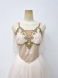 Ivory Gold Romantic Ballet Dress
