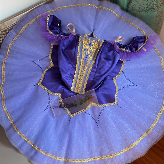 Handmade Purple Ballet Dress for Girls with Golden Embroidered Trim - Perfect for Dance Competitions-MDT1083