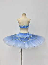 Royal Blue Silver Two-Piece Classical Tutu