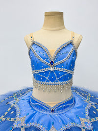 Royal Blue Silver Two-Piece Classical Tutu
