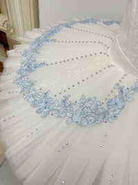 Ice Crystal Classical Tutu