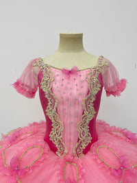 Pink Gold Princess Classical Tutu