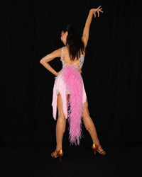 Silver Pink Feather Latin Dance Dress