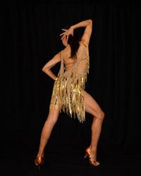 Gold Sequin Fringe Latin Dance Dress