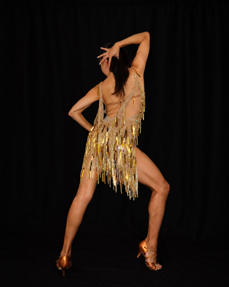 Gold Sequin Fringe Latin Dance Dress