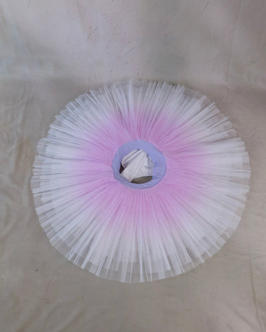 Ombre Practice Tutu