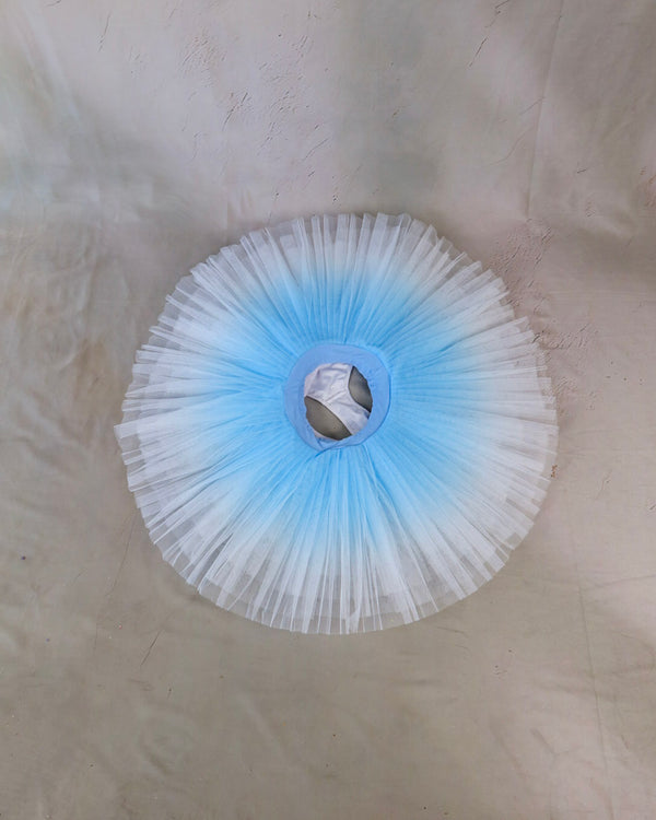 Ombre Practice Tutu