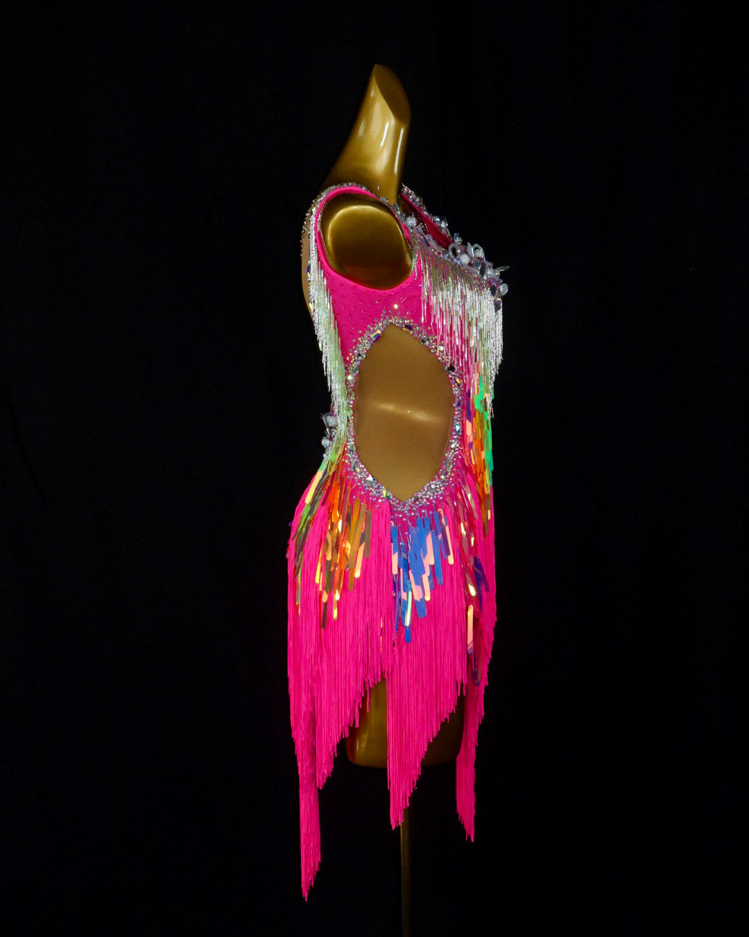 Pink Multicolor Fringe Latin Dance Dress