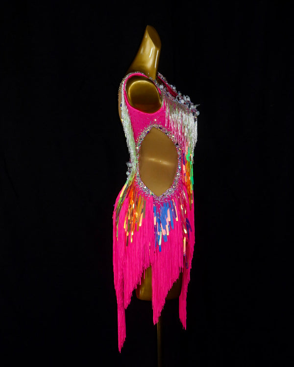 Pink Multicolor Fringe Latin Dance Dress