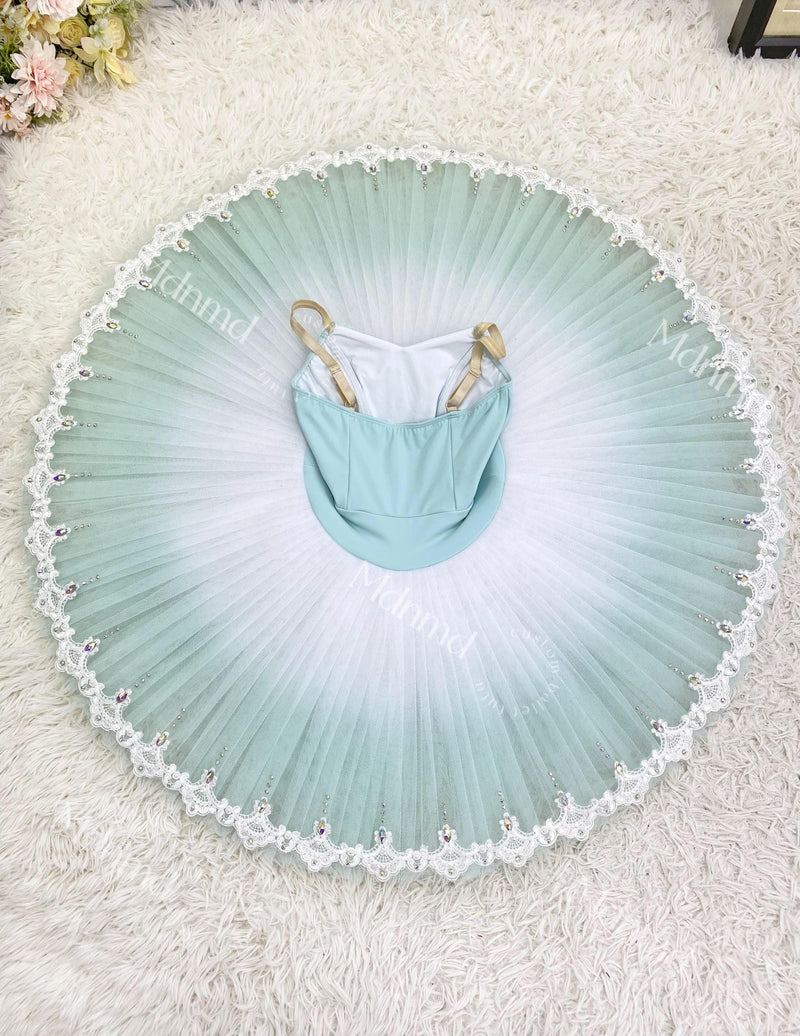Custom Ballet Tutu Mint Green Bodice with Flower Embellishments