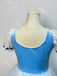 Romantic Blue Ballet Tutu - Handmade Classic Ballerina Costume for Coppelia, Giselle, Competition & Performance Dress