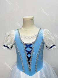 Romantic Blue Ballet Tutu - Handmade Classic Ballerina Costume for Coppelia, Giselle, Competition & Performance Dress