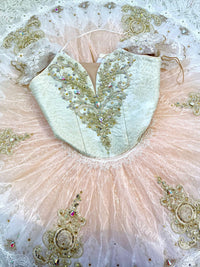 Orange Professional Ballet Tutu: Exquisite Pancake Ballerina Costume