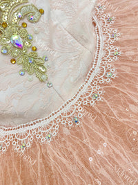 Custom Professional Pink Ballet Performance Dress Embellished with Gold Embroidery and Sequins