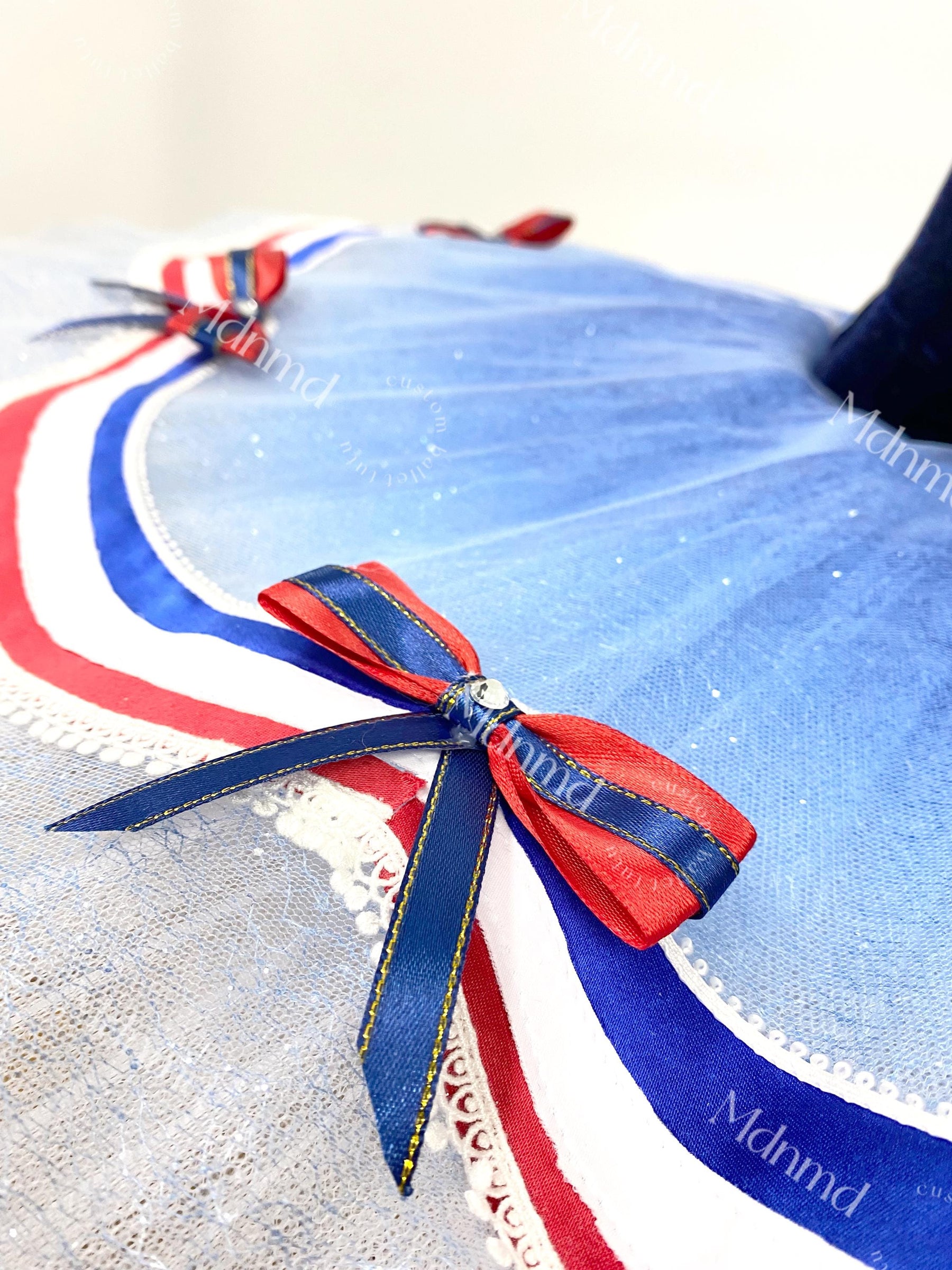 Flames of Paris Blue and Red Classic Professional Ballet Tutu Custom Ballerina Costume