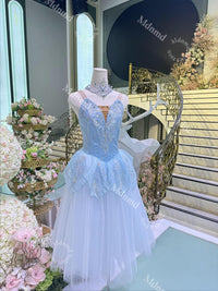 Swan Lake Act I Blue Romantic Ballet Gown - Custom Handmade Costume