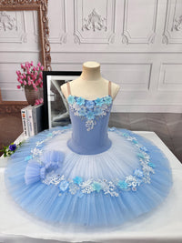 Handmade Swan Lake Ballet Gown: Lace Embroidery, Floral Design, Gradient Colors