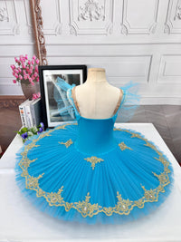 Blue Velvet Top Ballet Tutu Dress: Gold Embroidery, Stretchy Practice Dancewear