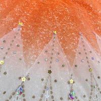 Paquita Ballet Costume: Ombre Tutu with Rhinestone & Lace