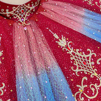 Red Pirate Ballet Tutu Dress: Professional Performance Costume